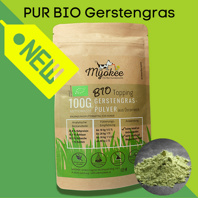 Pur Bio Gerstengras 100 g von Myokee Produktfoto
