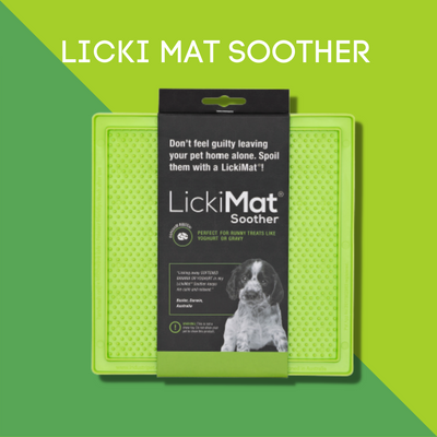 Licki Mat Soother grün mit Verpackung